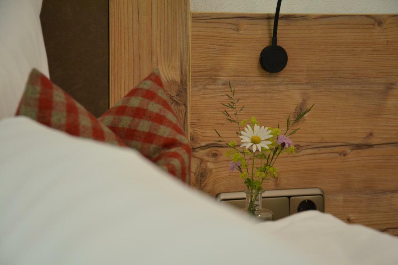 Hotel Garni Alpina Damüls Extérieur photo